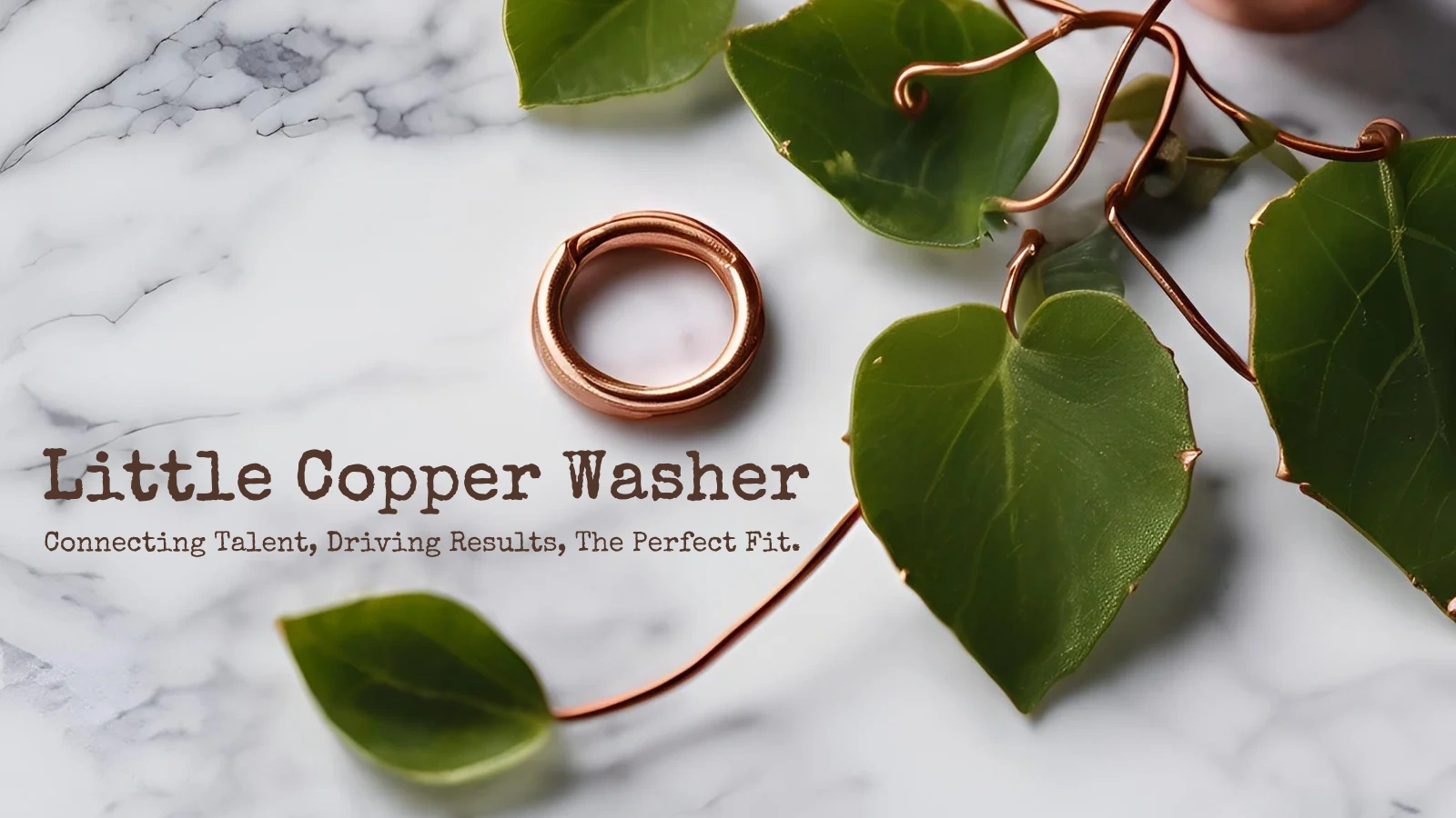 Little Copper Washer